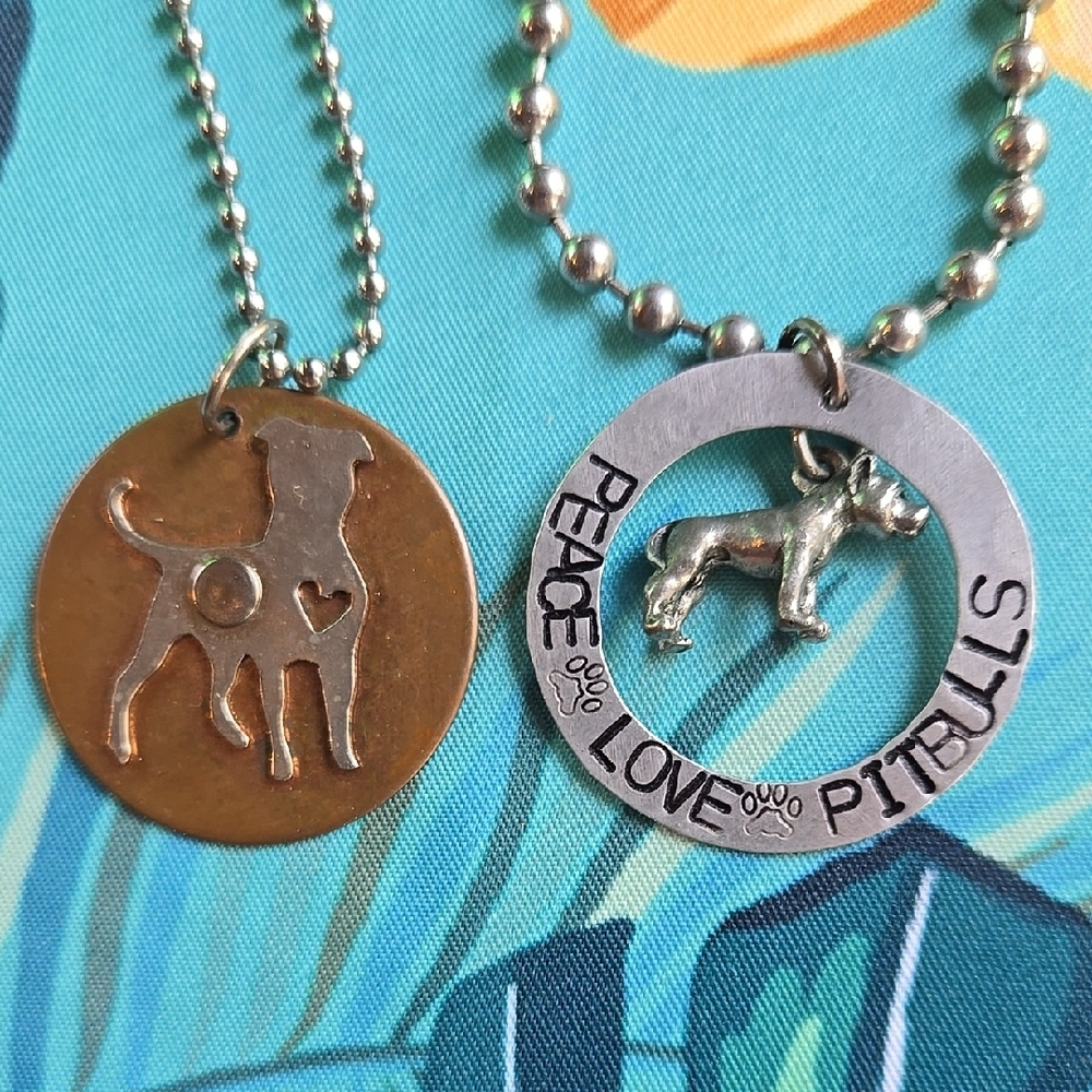 Pitbull Pendant Necklace Set